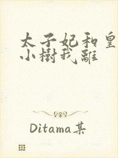 太子妃和皇上在小树我离封面