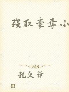 强取豪夺小说