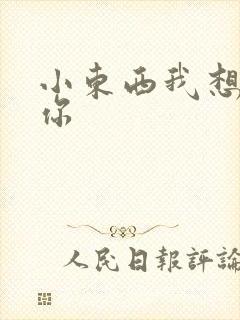小东西我想弄坏你