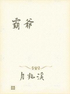 霸爷封面