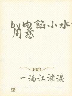 by肉馅小水饺周慈封面