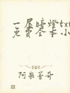 一屋暗灯txt免费全本小说电子书