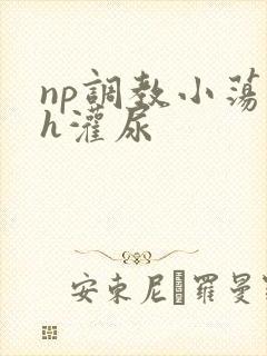 np调教小荡货h灌尿封面