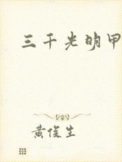 三千光明甲