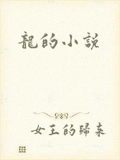 龙的小说