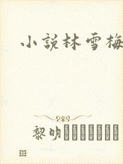 小说林雪梅
