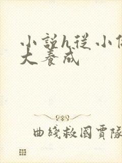 小说h从小做到大养成