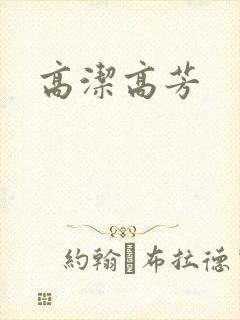 高洁高芳封面