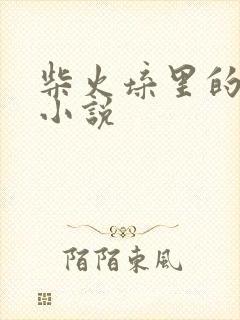 柴火垛里的疯狂小说封面