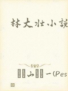 林大壮小说阅读