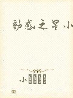 动感之星小蝶封面
