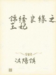 锦绣良缘之北地王妃封面
