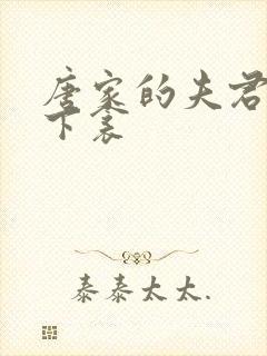 唐家的夫君们帘下衾