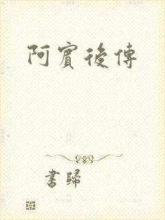 阿宾后传封面
