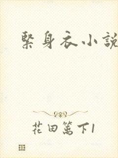 紧身衣小说封面
