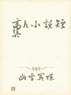 高h小说短篇合集