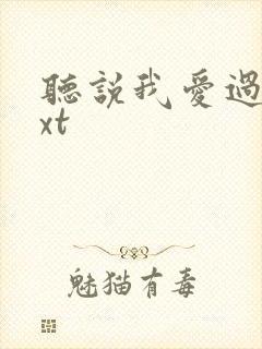 听说我爱过你txt