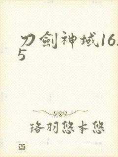 刀剑神域16.5