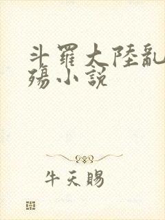 斗罗大陆乱世浮殇小说