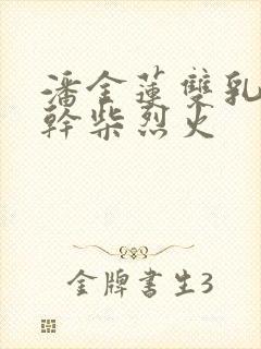 潘金莲双乳晃动干柴烈火