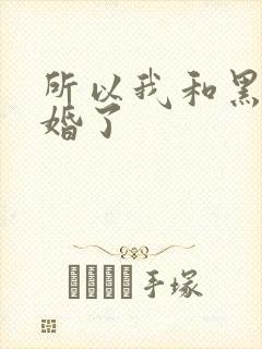 所以我和黑粉结婚了封面