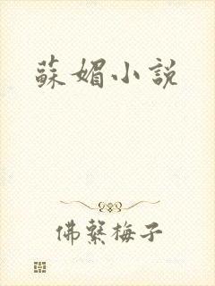 苏媚小说