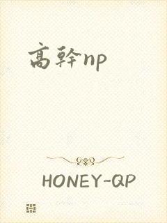 高干np