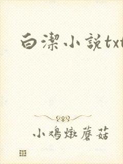 白洁小说txt