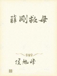 薛刚救母封面