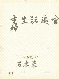 重生玩遍官场贵妇