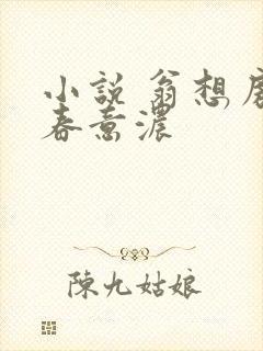 小说 翁想房中春意浓封面