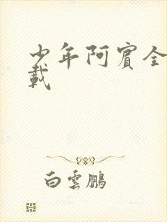 少年阿宾全集下载