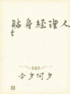 贴身经理人txt封面