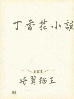 丁香花小说