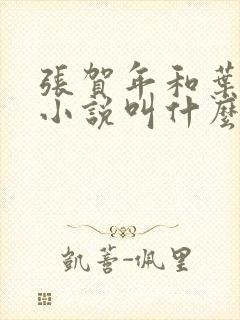 张贺年和叶繁姿小说叫什么名字