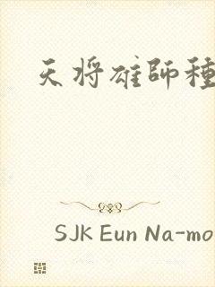 天将雄师种子封面