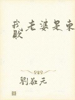 我老婆是东方不败