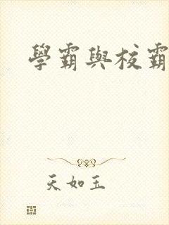 学霸与校霸