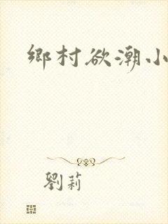 乡村欲潮小说封面