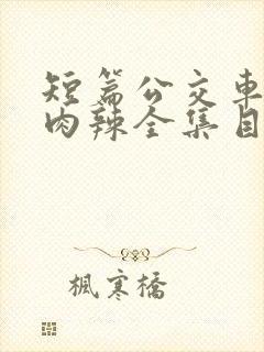 短篇公交车高h肉辣全集目录