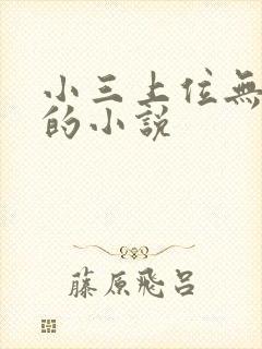 小三上位无三观的小说