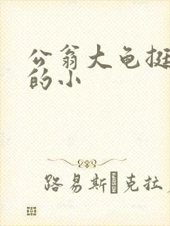 公翁大龟挺进我的小