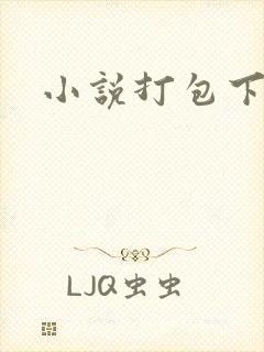 小说打包下载