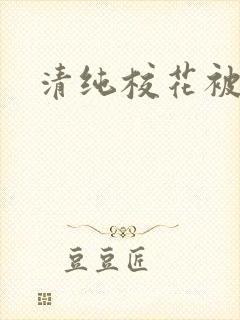 清纯校花被封面