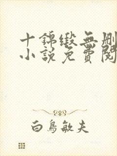 十锦缎无删原著小说免费阅读封面