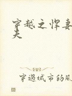 穿越之悍妻共三夫