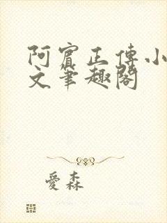 阿宾正传小说全文笔趣阁