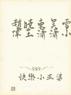 赵晓东吴雪晴郑伟王潇潇小说封面