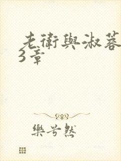 老卫与淑蓉第13章