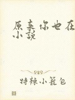 原来你也在这里小说